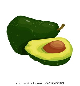 Set of urgent avocados. Pieces, halves and whole fruits with leaves and pit. Vector graphics.	