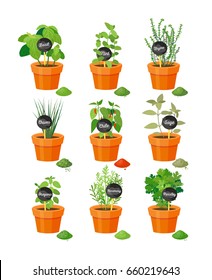 Set of useful herbs in brown pots with name labels on wooden stick and finished powder spice vector illustration isolated on white.