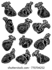 Set of Valentine's day anatomical human hearts. Print on t shirts concept. Sticker, pin or patch. flesh tattoo hand drawing idea. Vector.