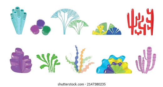 Set of varicoloured lovely corals and algae from different form on white background. Vector illustration beautiful tropical sea and ocean plants in cartoon style.