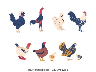 Set Of Varied Breeds Of Chickens And Roosters Displaying Different Colors, Patterns, And Sizes. Poultry Farm Animals