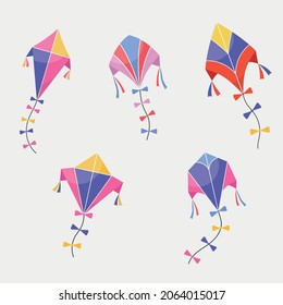 Set of varied and multicolored kites on a light background, vector illustration