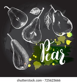 Set of varied pears. Food elements collection. Vector ink hand drawn illustration with modern brush calligraphy style lettering. Menu, signboard, label design template.