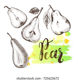 Set of varied pears. Food elements collection. Vector ink hand drawn illustration with modern brush calligraphy style lettering. Menu, signboard, label design template.