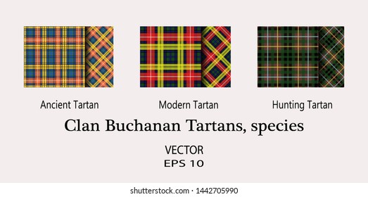 A set of varieties of clan Buchanan tartans. Tartan imitation for prints on fabric and clothing, interior decoration. Seamless pattern.