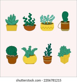 a set of a variety of cacti and succulents in pots