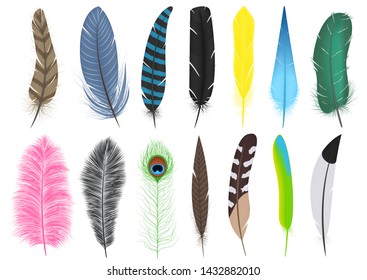 Set of a variety of feathers - brushes, vector, isolated on white background.