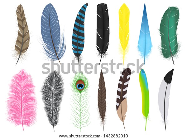 Set of a variety of feathers - brushes,\
vector, isolated on white\
background.