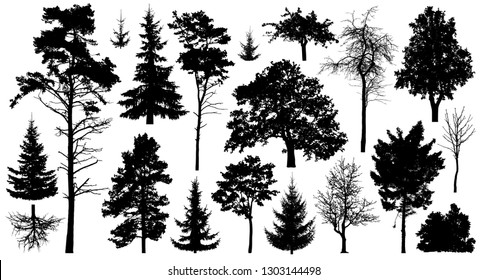 Set of a variety of forest trees. Isolated on white background. Collection of silhouette vector illustration