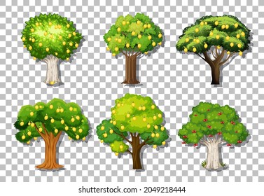 Set of variety lemon trees on transparent background illustration