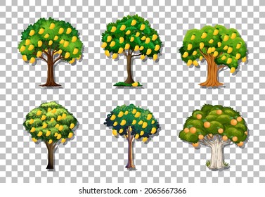 Set of variety mango trees on transparent background illustration