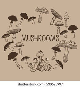 set with a variety of mushrooms. hand drawn illustration