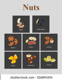 Set a variety of nuts in  flat style