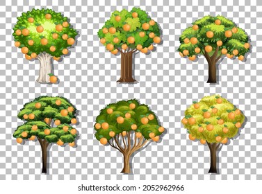 Set of variety orange trees on transparent background illustration