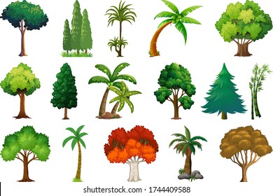 Set of variety plants and trees illustration