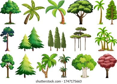 Set of variety plants and trees illustration