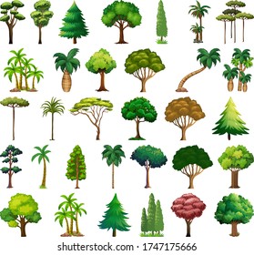 Set of variety plants and trees illustration