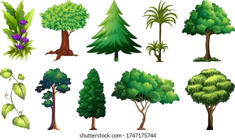 Set of variety plants and trees illustration