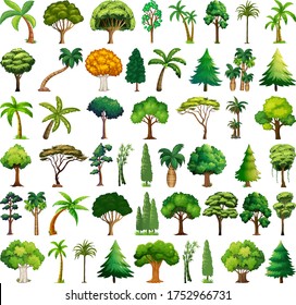 Set of variety plants and trees illustration