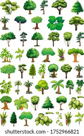 Set of variety plants and trees illustration