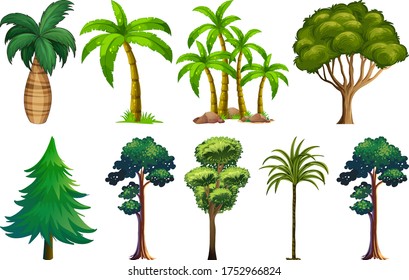 Different Types Trees Illustration Stock Vector (Royalty Free ...