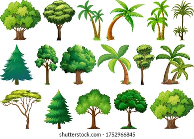 Set of variety plants and trees illustration