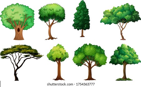 Set of variety plants and trees illustration