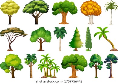Set of variety plants and trees illustration