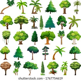 Set of variety plants and trees illustration