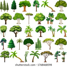 Set of variety plants and trees illustration