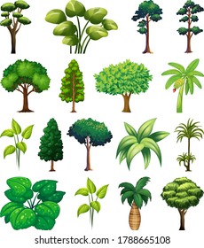 Set of variety plants and trees illustration