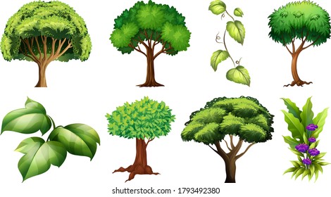 Set of variety plants and trees illustration