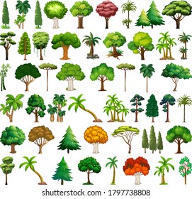Set of variety plants and trees illustration