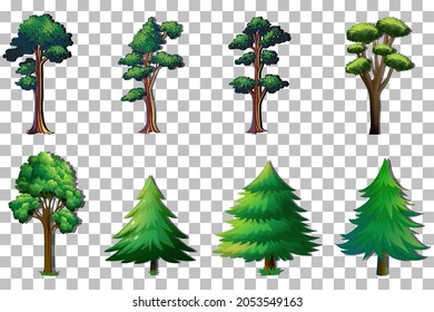 Set of variety trees on transparent background illustration