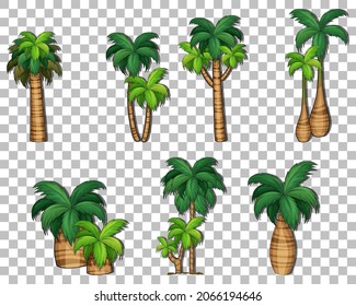 Set of variety trees on transparent background illustration