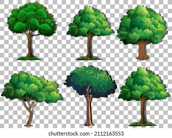 Set of variety trees on transparent background illustration