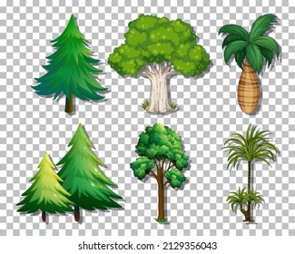 Set of variety trees on transparent background illustration