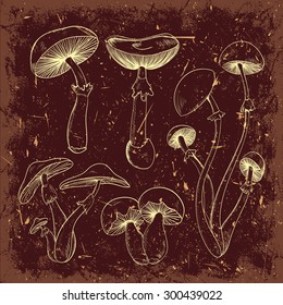 Set with a variety of vintage mushrooms on grunge background. Retro hand drawn vector illustration