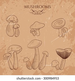 Set with a variety of vintage mushrooms. Retro hand drawn vector illustration