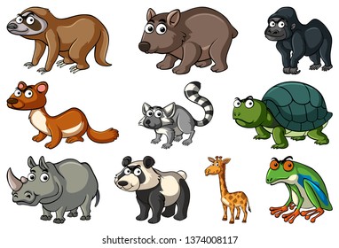 Set of various animals illustration