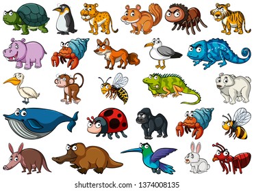 Set Different Animals Australia On White Stock Vector (Royalty Free ...