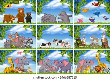 Conjunto de diversos animales en la ilustración de escenas de la naturaleza