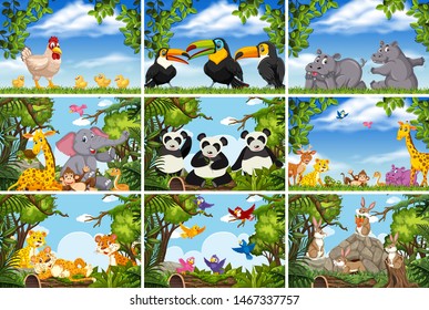 Set of various animals in nature scenes illustration