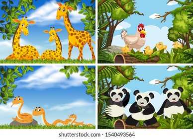 Conjunto de diversos animales en la ilustración de escenas de la naturaleza
