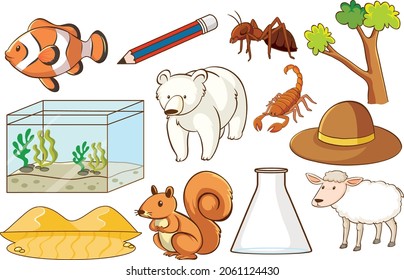 Set of various animals and objects illustration