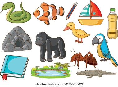 Set of various animals and objects illustration