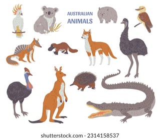 Set von verschiedenen australischen Tieren flach, Vektorgrafik einzeln auf weißem Hintergrund. Vögel und Säugetiere, Sammlung dekorativer Gestaltungselemente, Känguru