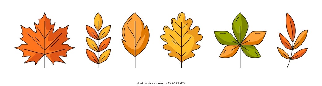 Set of various autumn fallen leaves, flat vector trendy colorful line icons. Maple, oak, chestnut, rowan, aspen leaf. Fall collection of yellow, orange color. Foliage isolated on white background