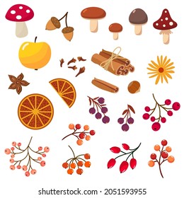 set of various autumn items isolated on transparent background. mushrooms, berries, autumn fruits of trees. vector illustration 