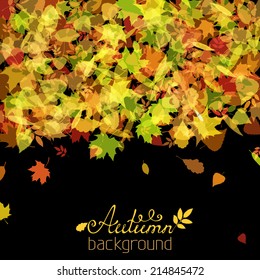 Set of various autumn leaves silhouettes on black background. There is place for your text at the bottom of the image.